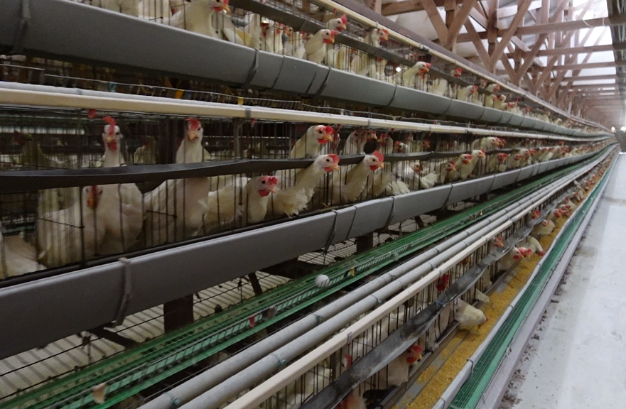 清潔なGPセンター