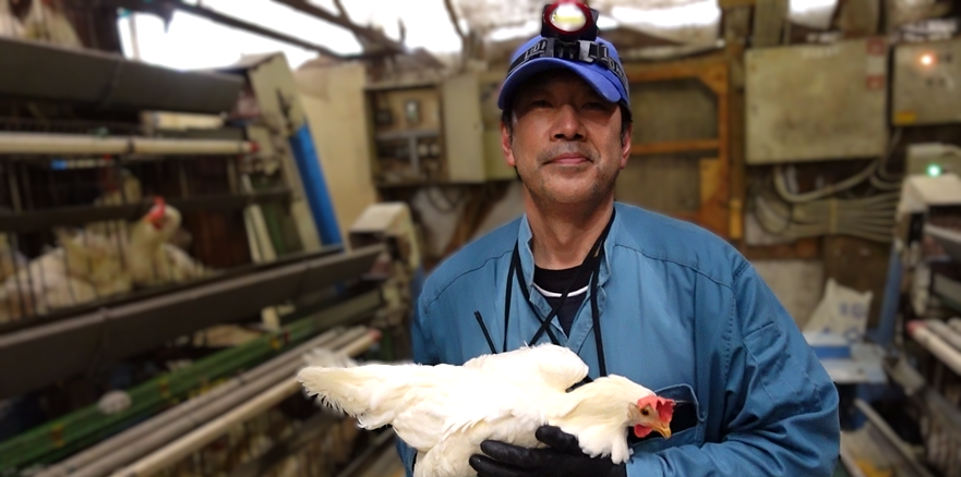 清潔に管理された鶏舎