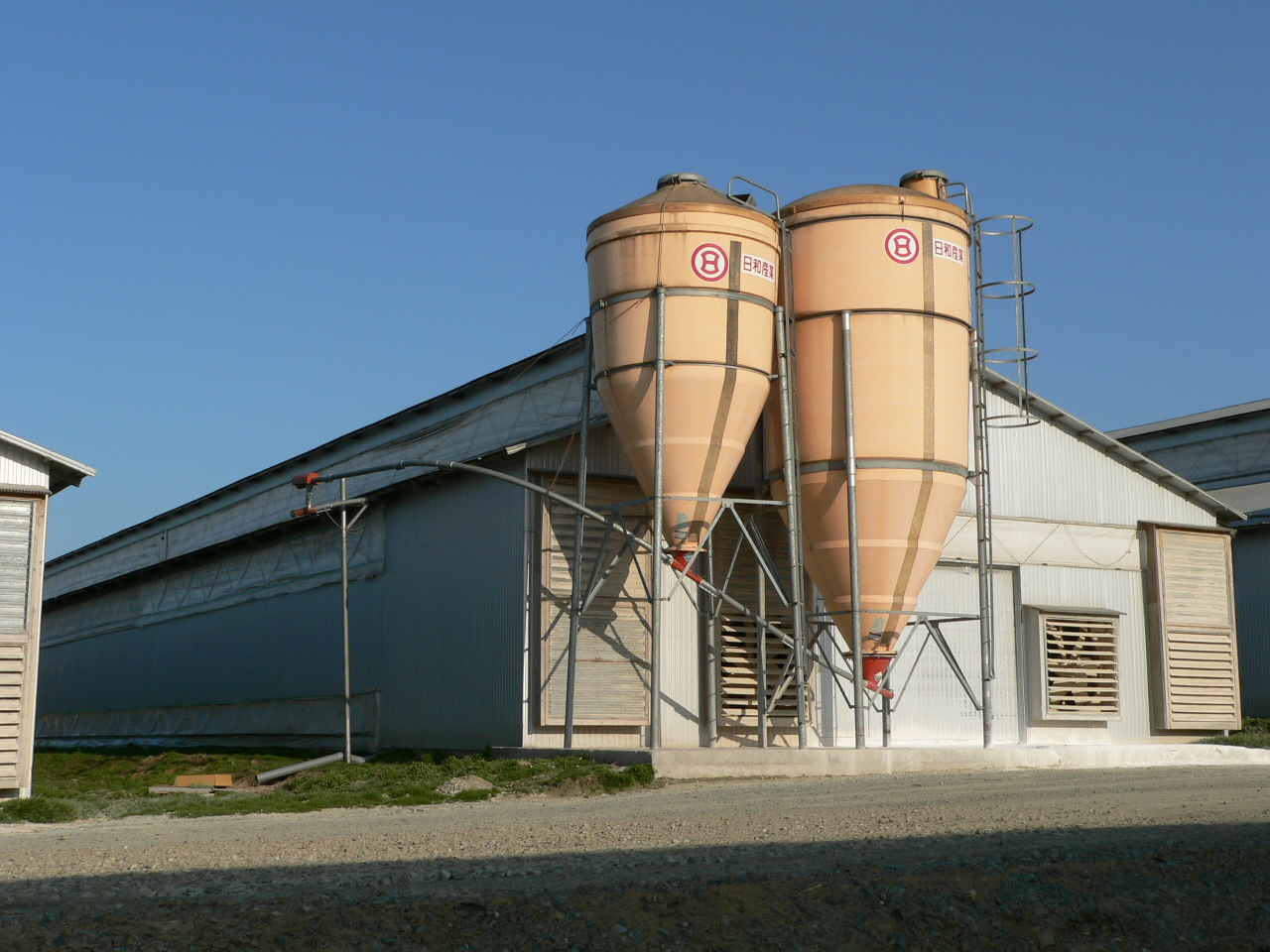 清潔な鶏舎の内部