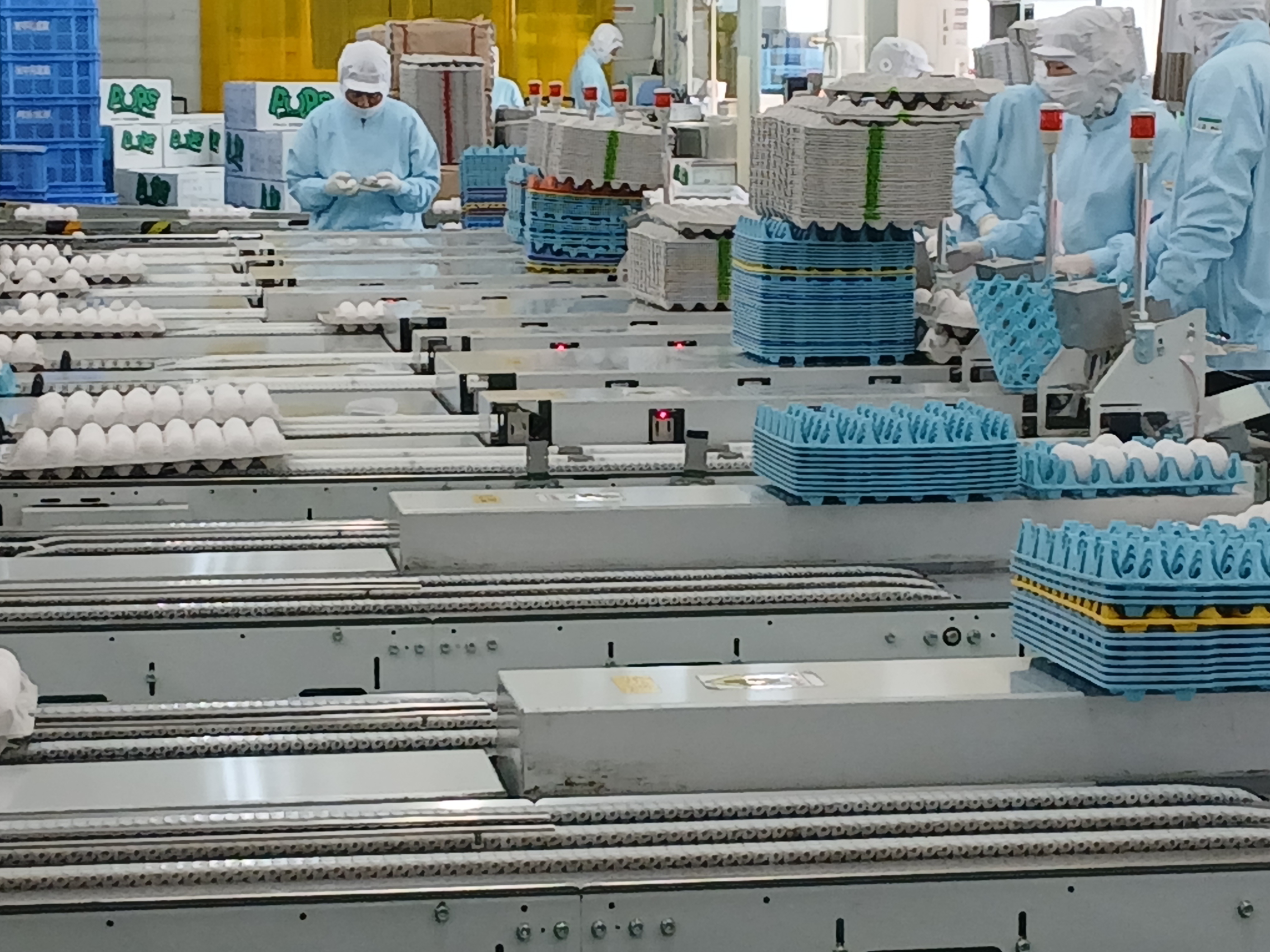 GPセンターの選別ライン