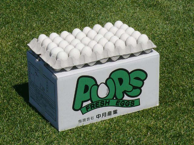 中月産業の強みを活かしたビジネス