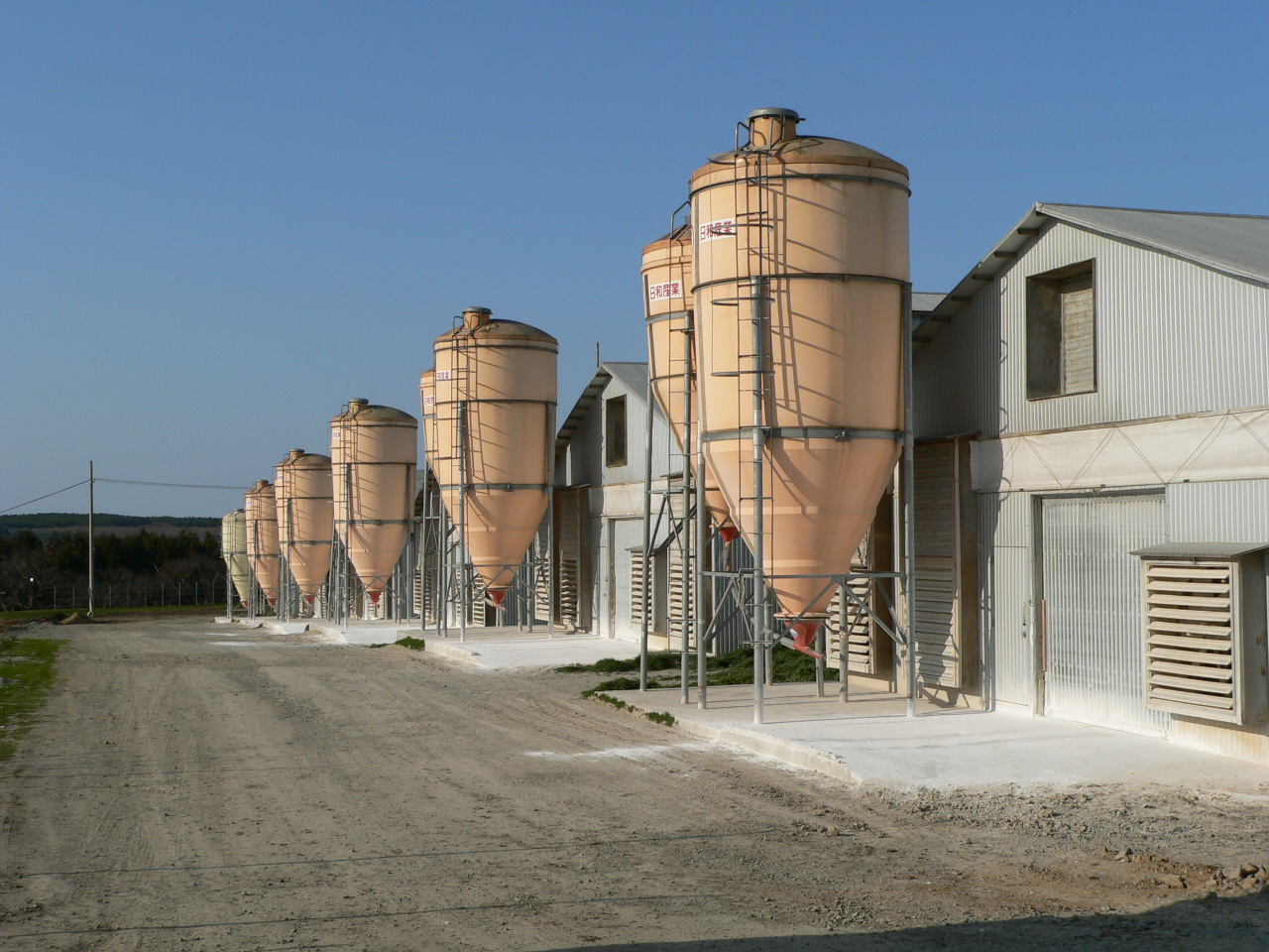 整然と並ぶ鶏舎と大規模な生産体制
